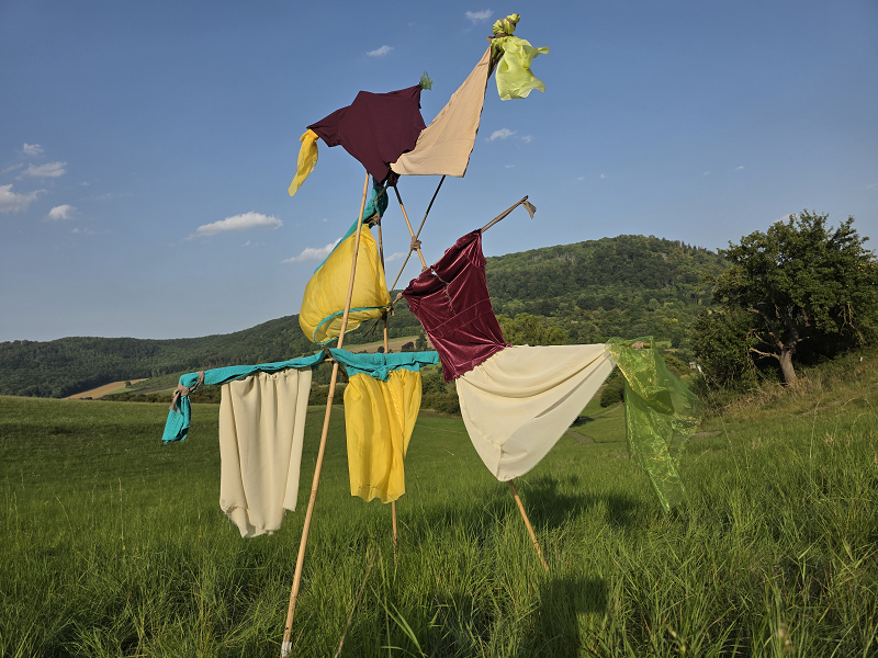 Transformation 35, installation at the Windkunstfestival in Zierenberg 2025 (Kirsten Kötter)