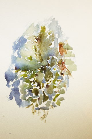 Kirsten K&ouml;tter: Wald, Ornament (Detail, Ausschnitt)
Site-specific Painting, 06.01.2014, 12.50 - 13.30, Taunus, Platte, Weg um Berg, Aquarell, 24 x 17 cm, 50.136824° N / 8.211676° O