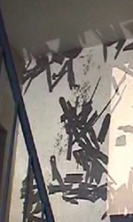 Kirsten K&ouml;tter: Projektion von Samen und Pflanzenteilen