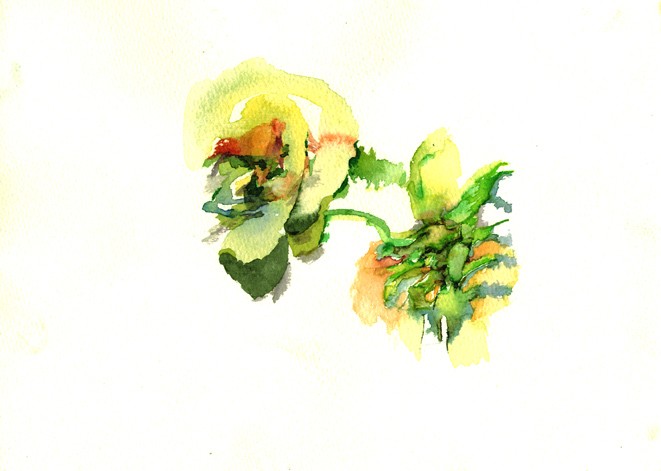 Kirsten K&ouml;tter: Painting Site Specific, Malerei vor Ort, Israel, Elat, am Strand, 20.12.2008, Aquarell, 17 &times; 24 cm