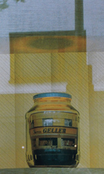 Vom Kreislauf des Geldes von Kirsten K&ouml;tter