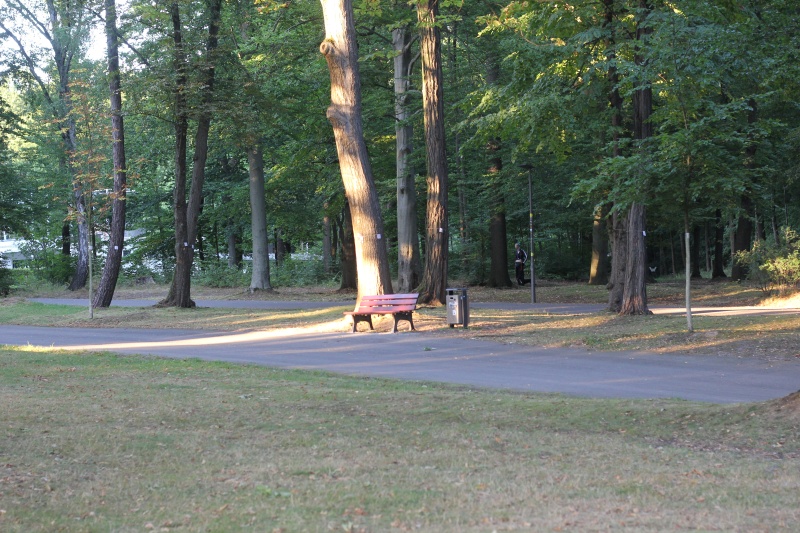 2025-08-18_malathon-chemnitz_licht_2763 (Kirsten Kötter)