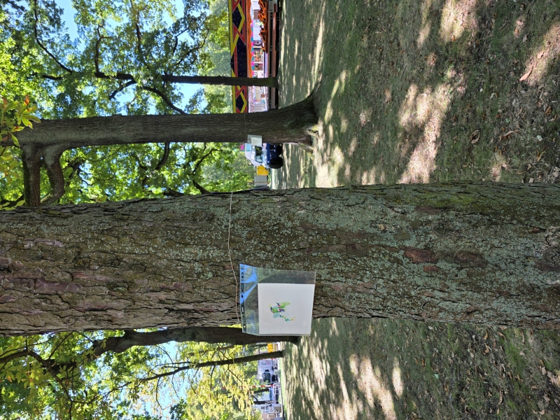 2025-08-19_malathon-chemnitz_06_malen-08_20250819_132952 (Kirsten Kötter)