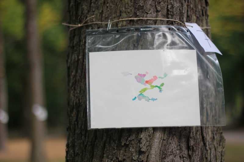 2025-08-19_malathon-chemnitz_07_Baum_2992 (Kirsten Kötter)