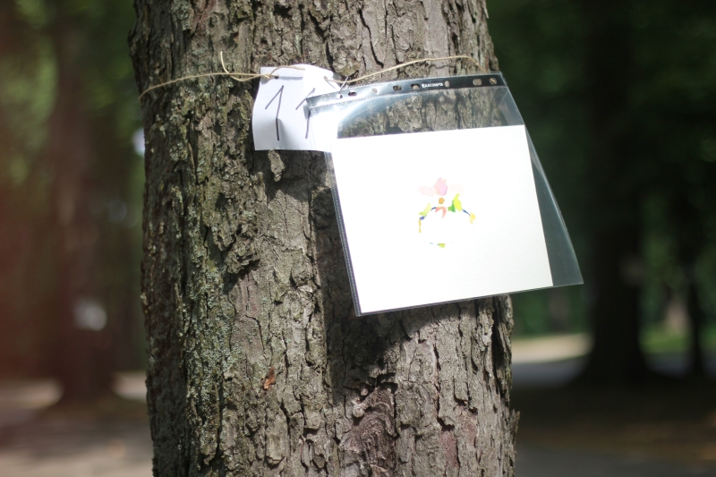 2025-08-19_malathon-chemnitz_11_baum_3001, watercolour, 17 × 24 cm (Kirsten Kötter)