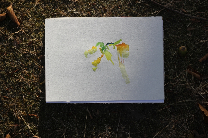 2025-08-19_malathon-chemnitz_14_2849, watercolour, 17 × 24 cm (Kirsten Kötter)