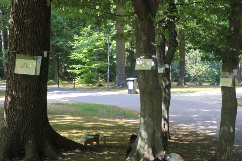 2025-08-20_malathon-chemnitz_23_24_22_25_baum_2907 (Kirsten Kötter)