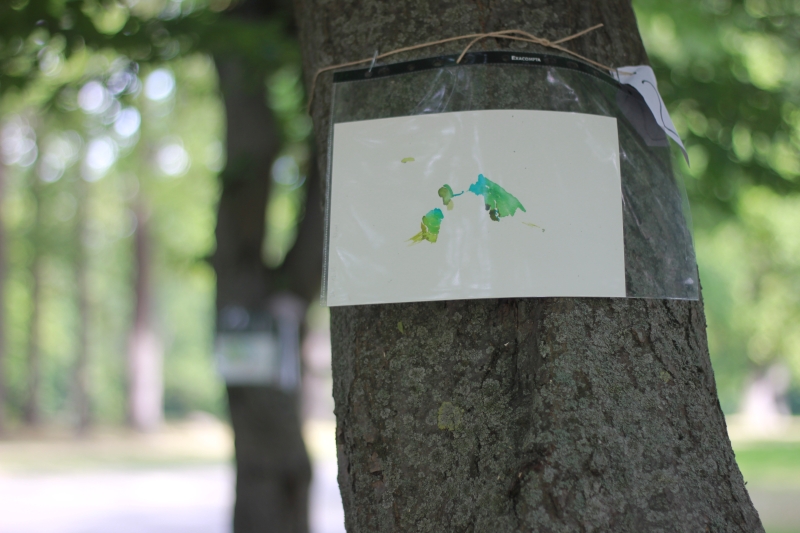 2025-08-20_malathon-chemnitz_24_baum_3007, watercolour, 17 × 24 cm (Kirsten Kötter)