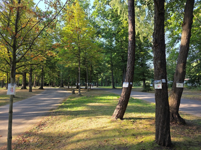 2025-08-20_malathon-chemnitz_33_30_32_31_baum_20250820_181616 (Kirsten Kötter)