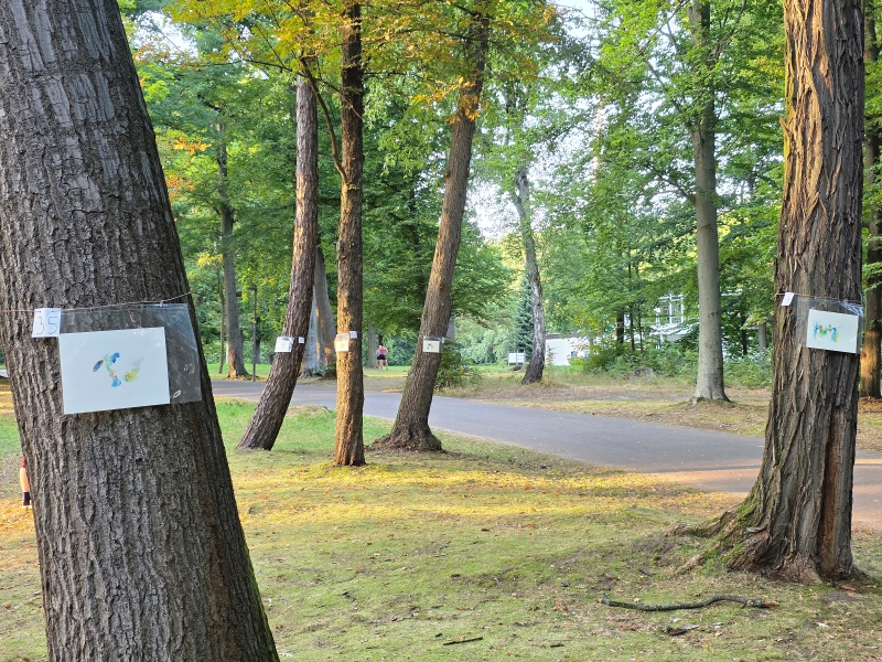 2025-08-20_malathon-chemnitz_35_34-ua_baum_20250820_191251 (Kirsten Kötter)