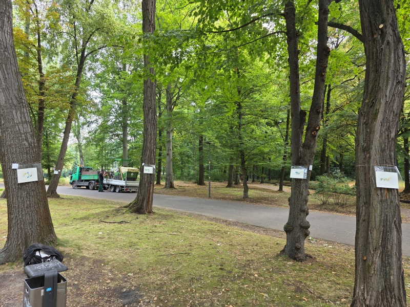 2025-08-21_malathon-chemnitz_35_34_36_37_baeume_20250821_094555 (Kirsten Kötter)