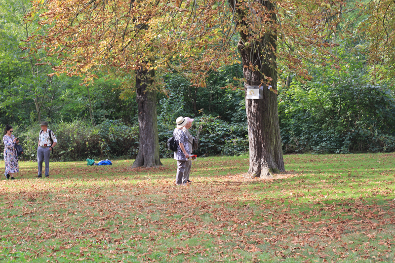 2024-09-22_malathon_36_besuchende_0791 (Kirsten Kötter)