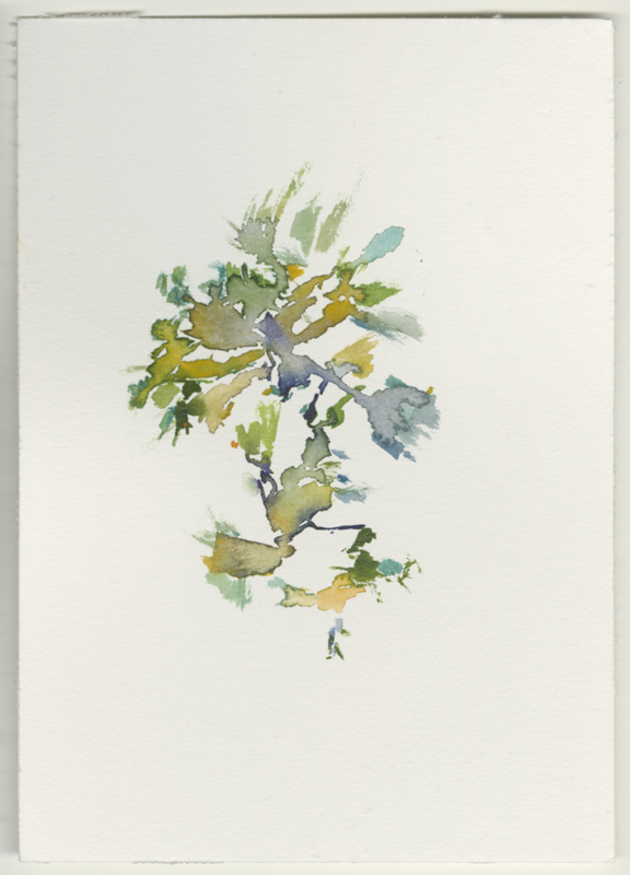 2022-03-02_wi-wildpark-autobahn.png, watercolour, 17 &times; 12 cm (Kirsten Kötter)